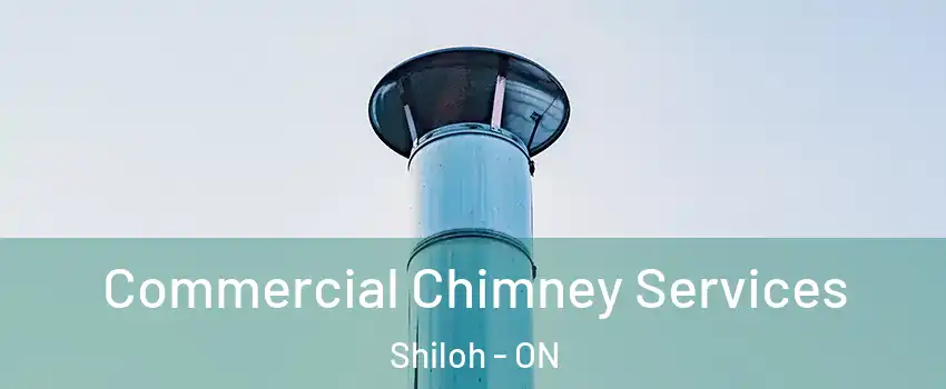  Commercial Chimney Services Shiloh - ON