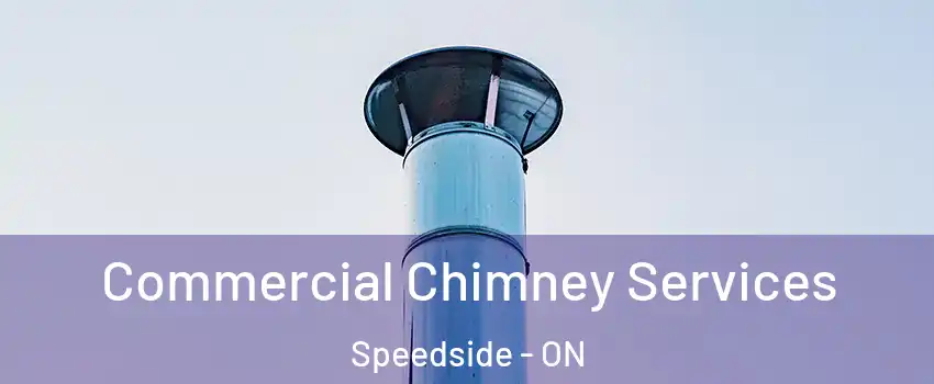  Commercial Chimney Services Speedside - ON