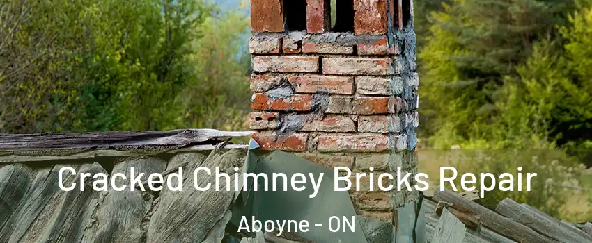  Cracked Chimney Bricks Repair Aboyne - ON