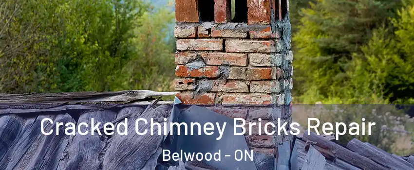  Cracked Chimney Bricks Repair Belwood - ON