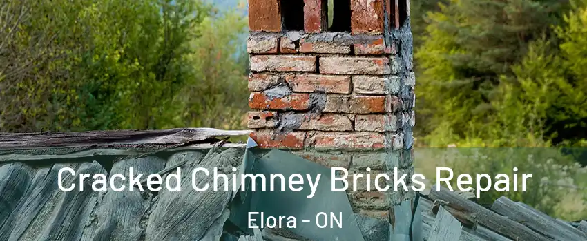  Cracked Chimney Bricks Repair Elora - ON