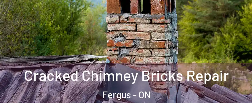  Cracked Chimney Bricks Repair Fergus - ON