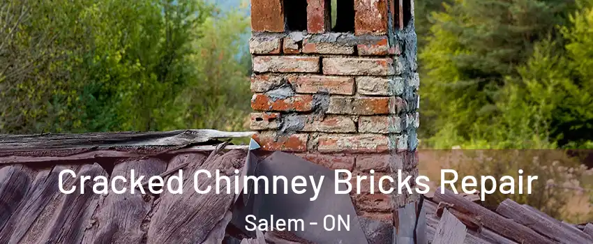  Cracked Chimney Bricks Repair Salem - ON