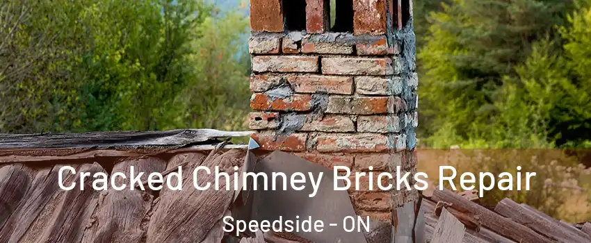  Cracked Chimney Bricks Repair Speedside - ON
