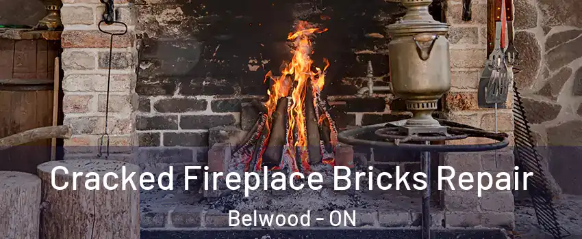  Cracked Fireplace Bricks Repair Belwood - ON