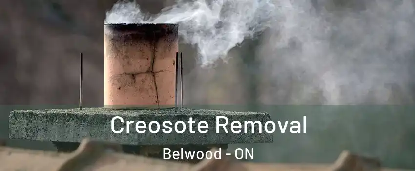  Creosote Removal Belwood - ON
