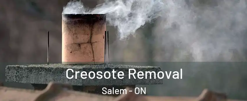  Creosote Removal Salem - ON