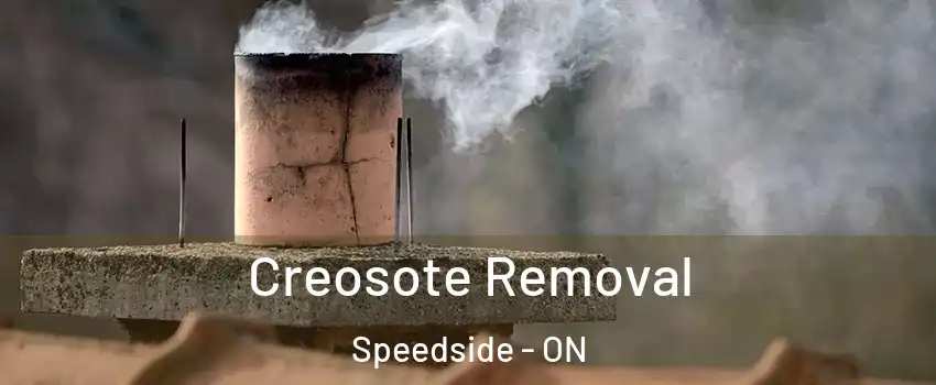  Creosote Removal Speedside - ON