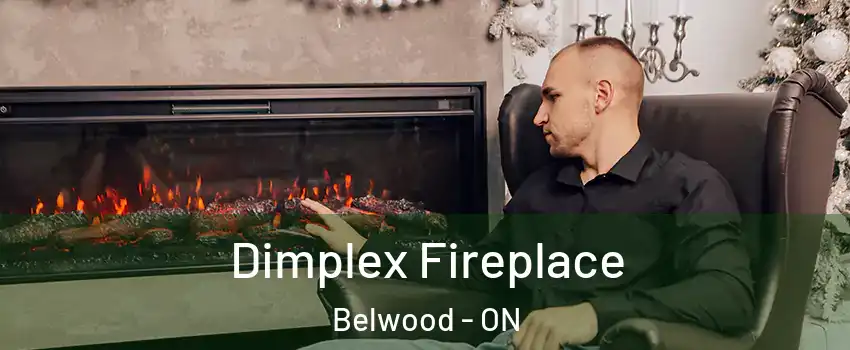  Dimplex Fireplace Belwood - ON