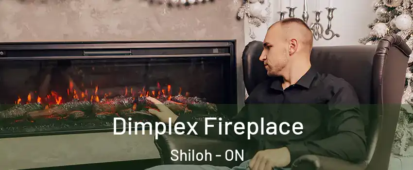  Dimplex Fireplace Shiloh - ON