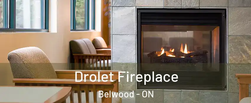  Drolet Fireplace Belwood - ON