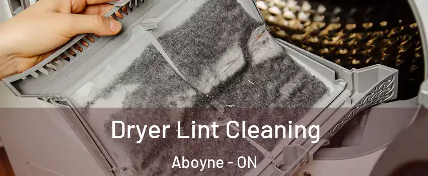  Dryer Lint Cleaning Aboyne - ON