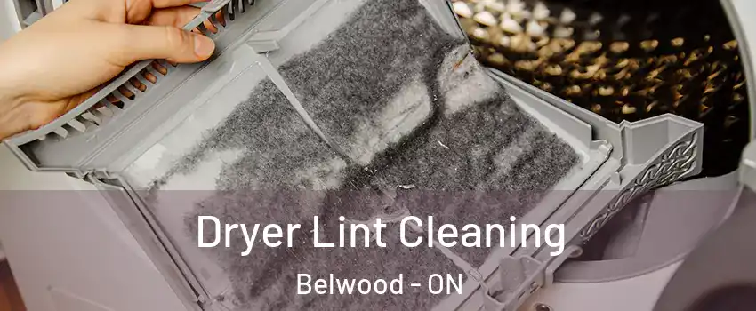  Dryer Lint Cleaning Belwood - ON