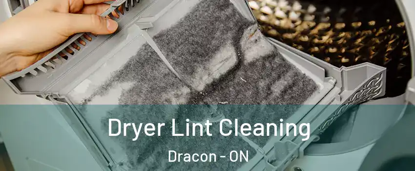 Dryer Lint Cleaning Dracon - ON