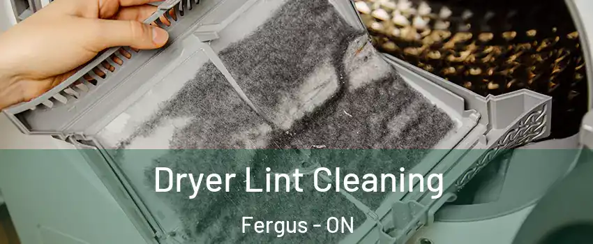  Dryer Lint Cleaning Fergus - ON
