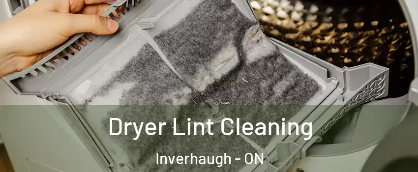  Dryer Lint Cleaning Inverhaugh - ON