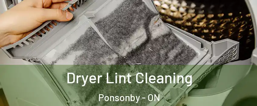  Dryer Lint Cleaning Ponsonby - ON