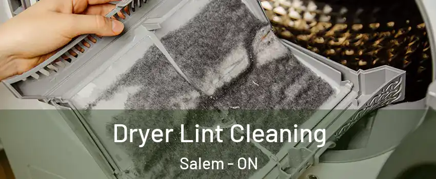  Dryer Lint Cleaning Salem - ON