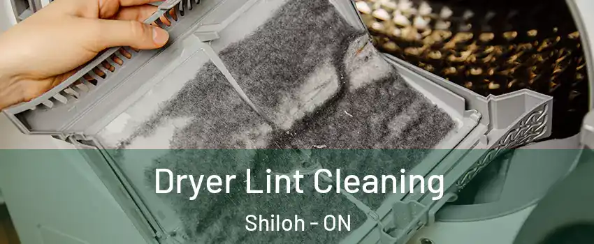  Dryer Lint Cleaning Shiloh - ON