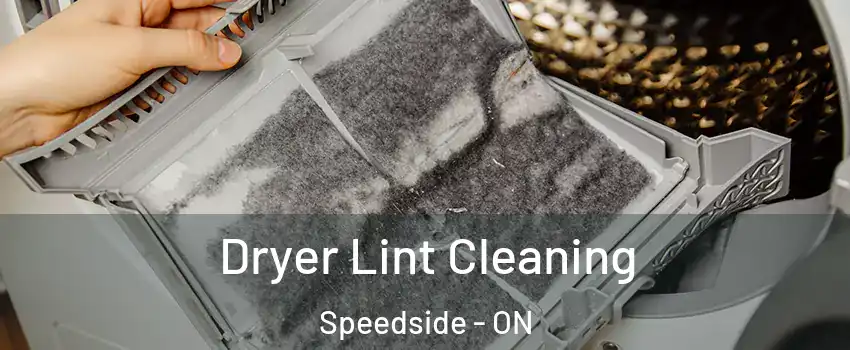  Dryer Lint Cleaning Speedside - ON