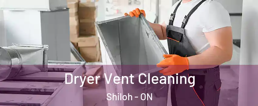  Dryer Vent Cleaning Shiloh - ON