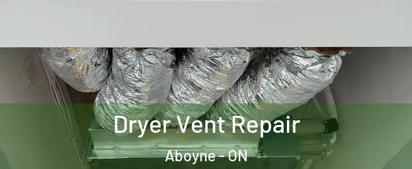  Dryer Vent Repair Aboyne - ON