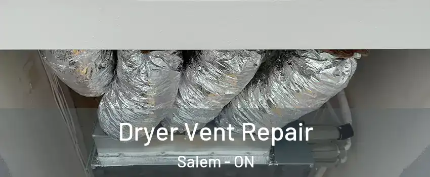  Dryer Vent Repair Salem - ON