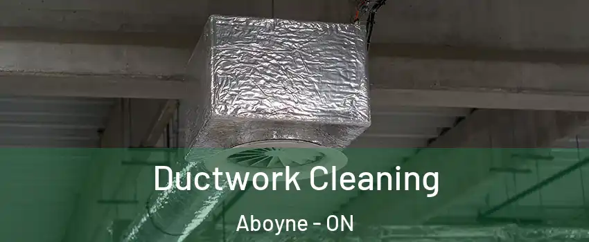  Ductwork Cleaning Aboyne - ON