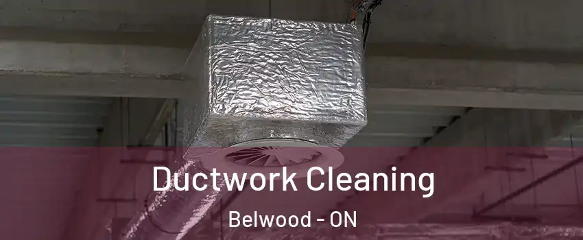  Ductwork Cleaning Belwood - ON