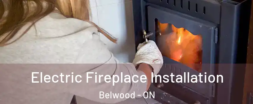  Electric Fireplace Installation Belwood - ON