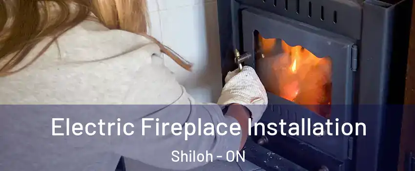  Electric Fireplace Installation Shiloh - ON