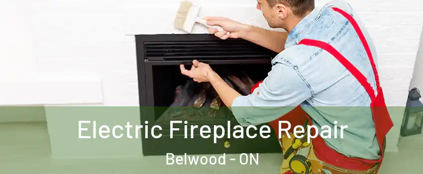  Electric Fireplace Repair Belwood - ON