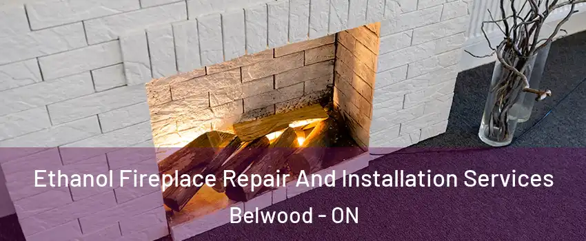  Ethanol Fireplace Repair And Installation Services Belwood - ON