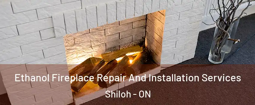  Ethanol Fireplace Repair And Installation Services Shiloh - ON