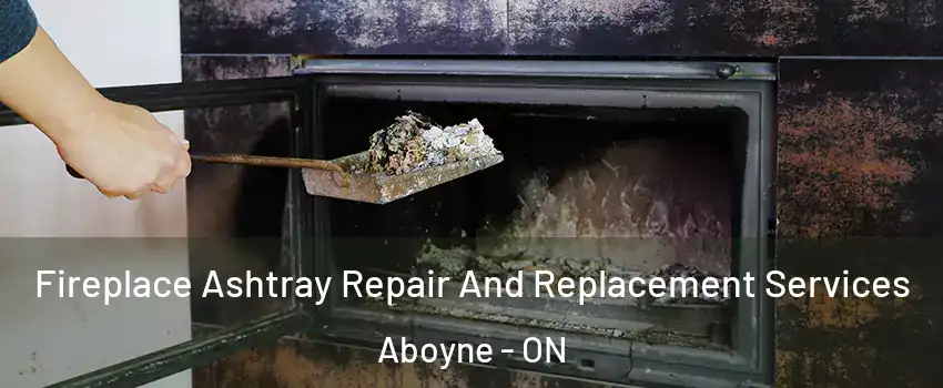  Fireplace Ashtray Repair And Replacement Services Aboyne - ON