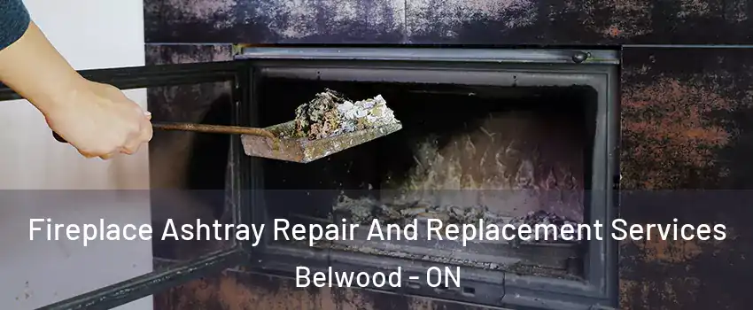  Fireplace Ashtray Repair And Replacement Services Belwood - ON