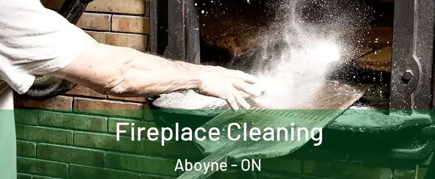  Fireplace Cleaning Aboyne - ON