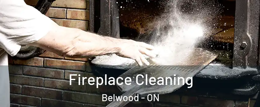  Fireplace Cleaning Belwood - ON