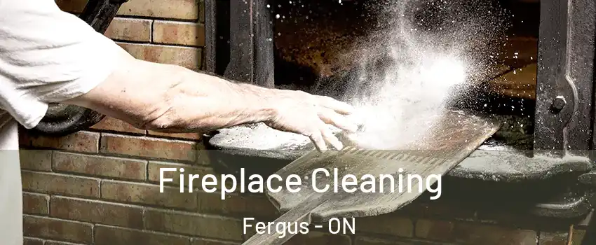  Fireplace Cleaning Fergus - ON