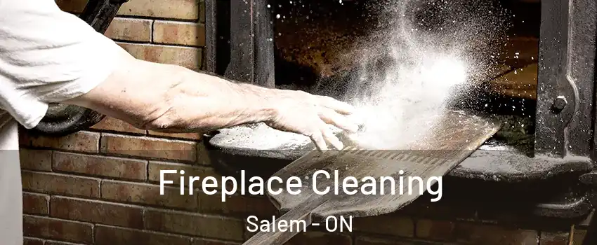  Fireplace Cleaning Salem - ON