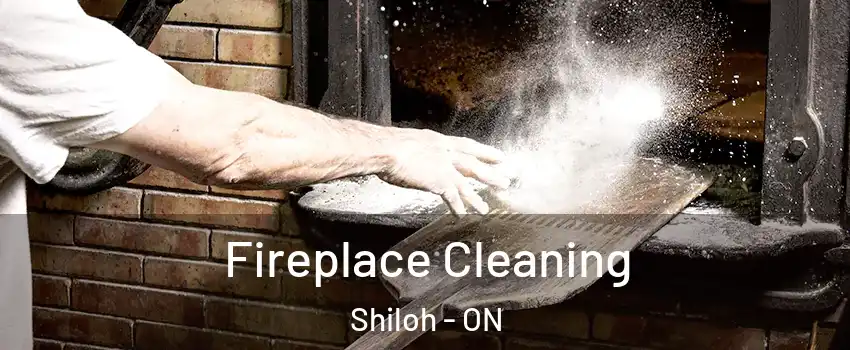  Fireplace Cleaning Shiloh - ON
