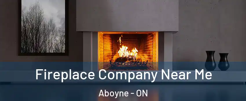  Fireplace Company Near Me Aboyne - ON