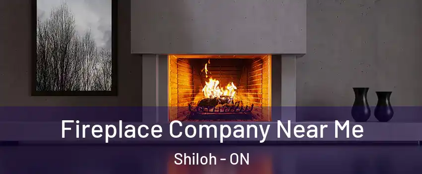  Fireplace Company Near Me Shiloh - ON