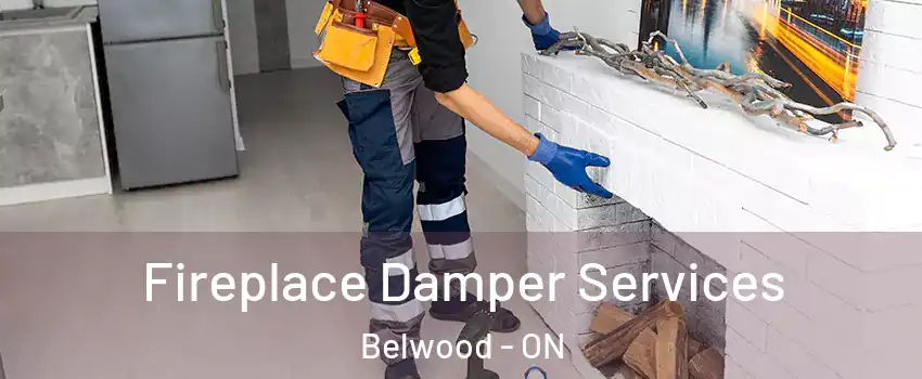  Fireplace Damper Services Belwood - ON