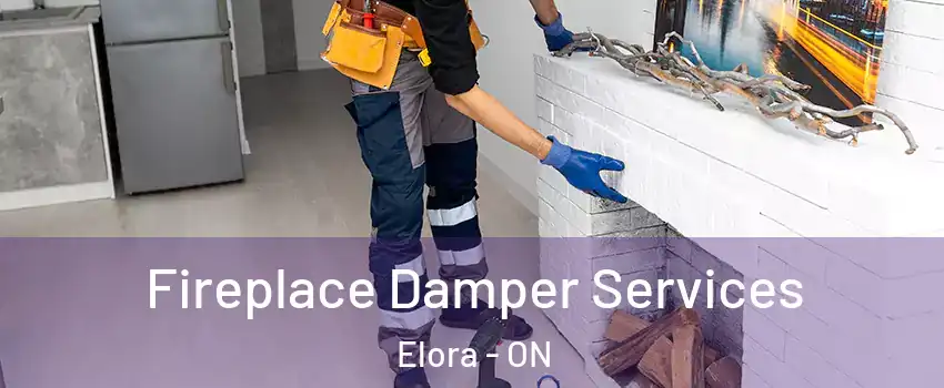  Fireplace Damper Services Elora - ON
