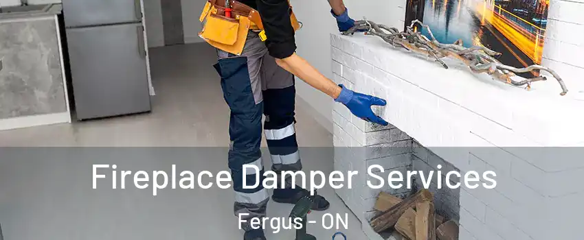  Fireplace Damper Services Fergus - ON