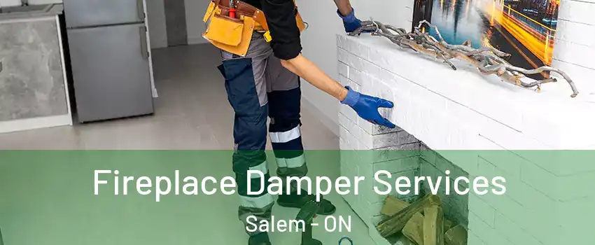  Fireplace Damper Services Salem - ON