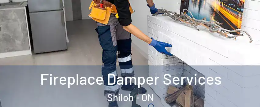  Fireplace Damper Services Shiloh - ON