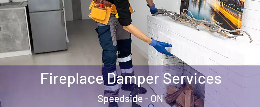  Fireplace Damper Services Speedside - ON