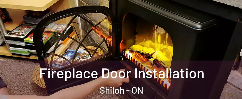  Fireplace Door Installation Shiloh - ON